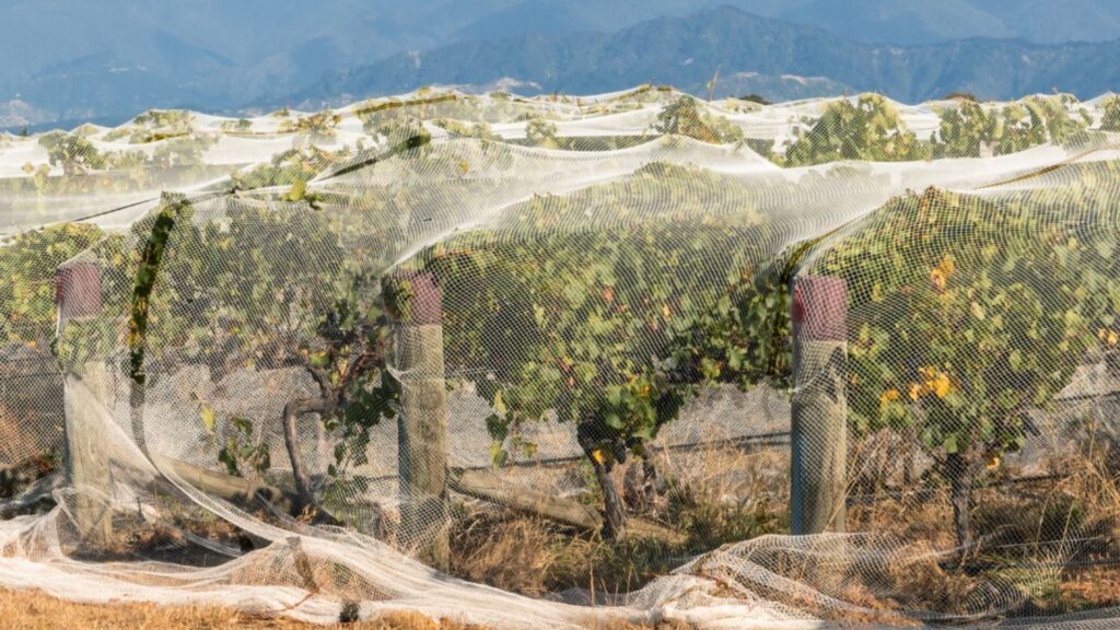 TELA PARA LATERAL DE ESTUFA